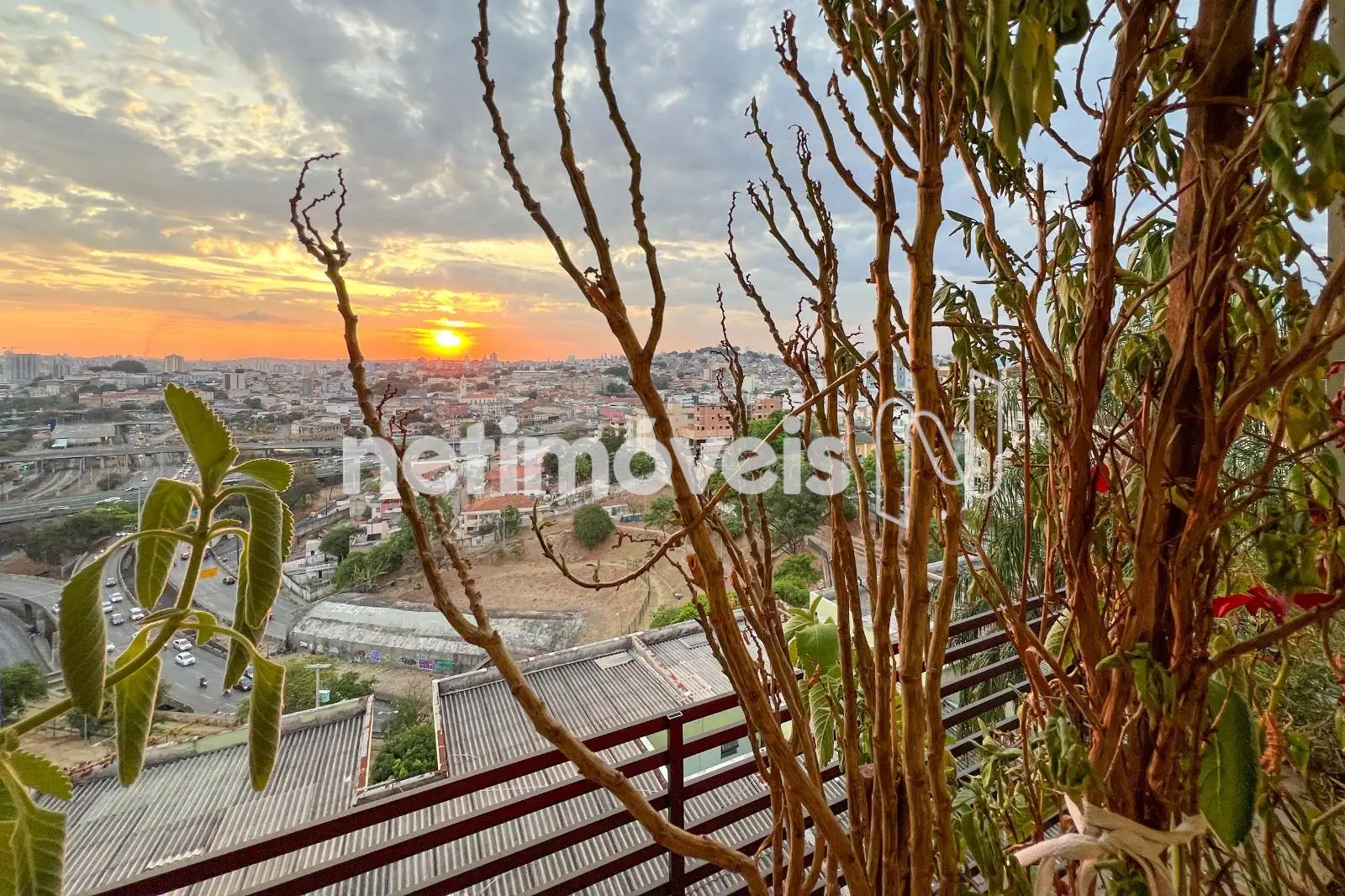 Vista Panorâmica