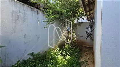 Jardim 