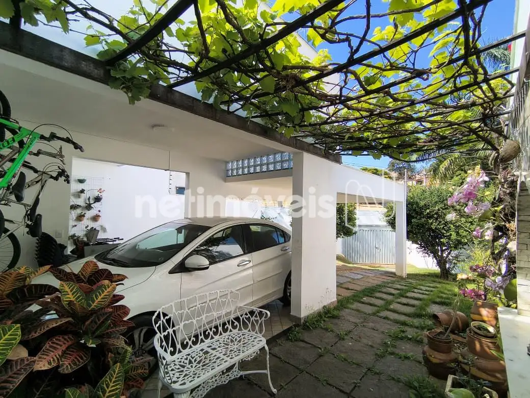 Jardim