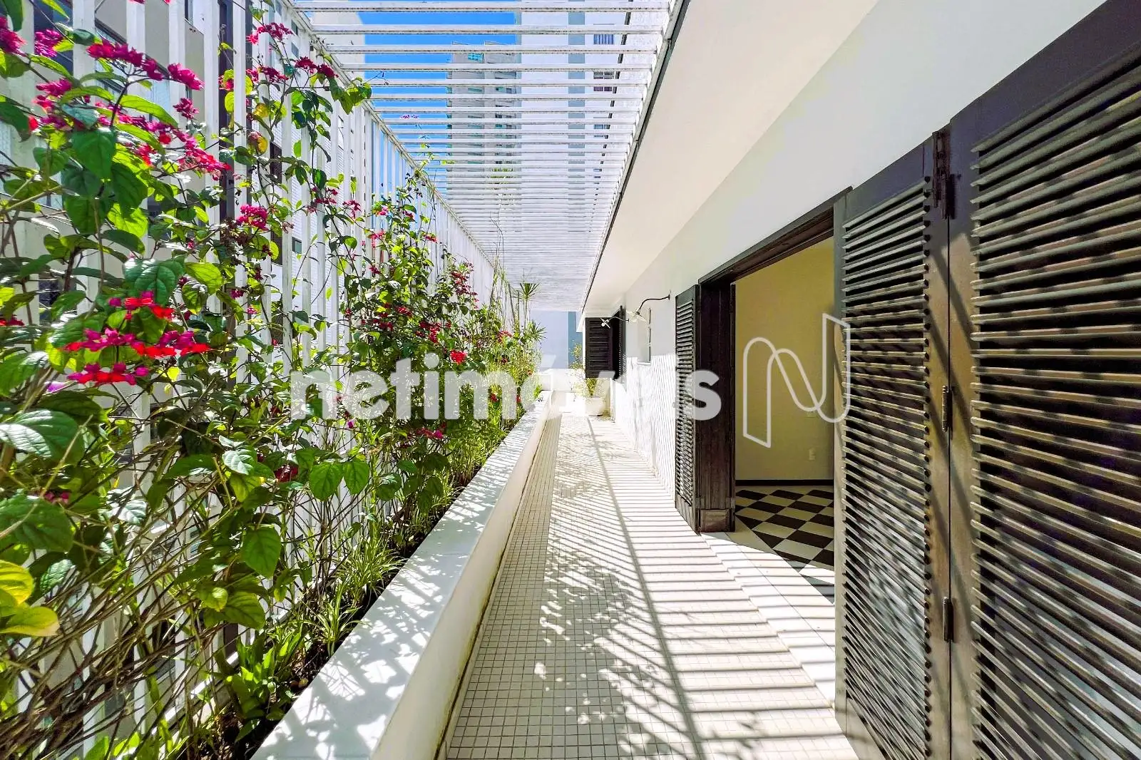 Terraço lateral- Pergolado e Jardim gigante 