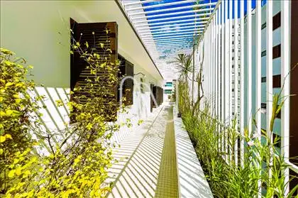 Pergolado e Jardim  