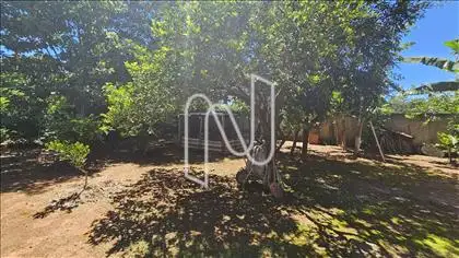 Galinheiro | Pomar 