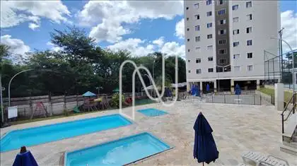 Piscinas e Playgroud 