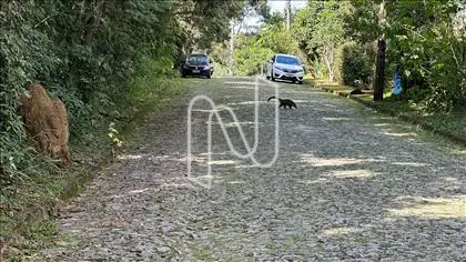 Thumb foto imóvel