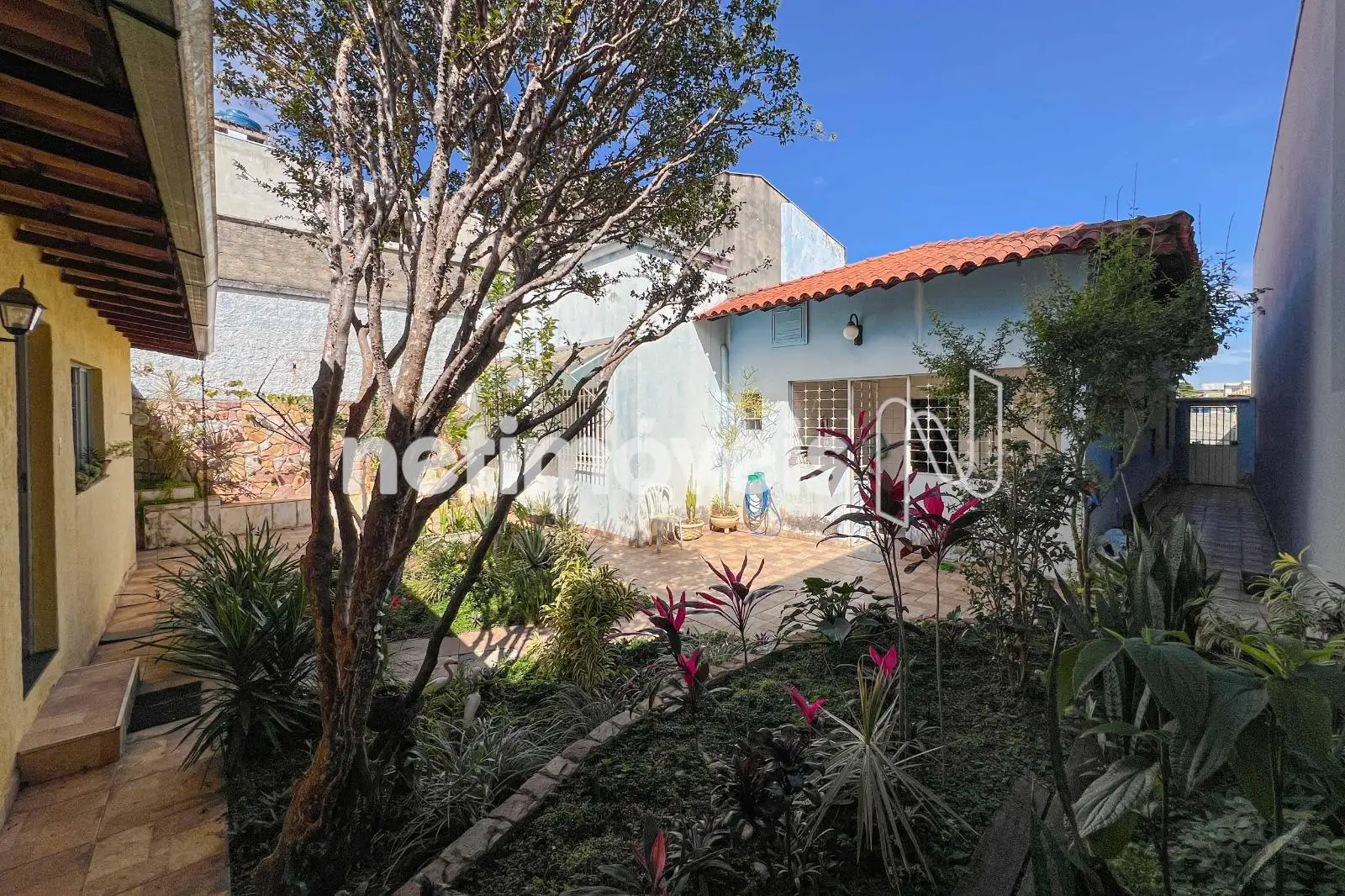 Jardim
