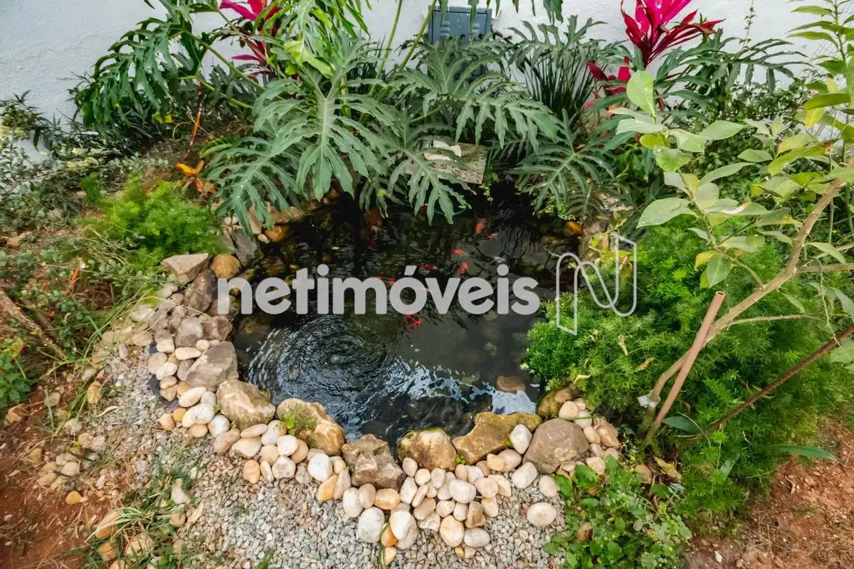 Jardim
