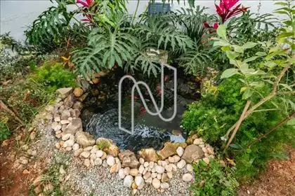 Jardim