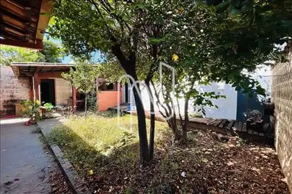 Jardim