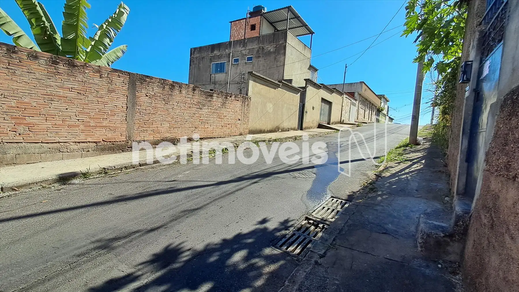 Lote
