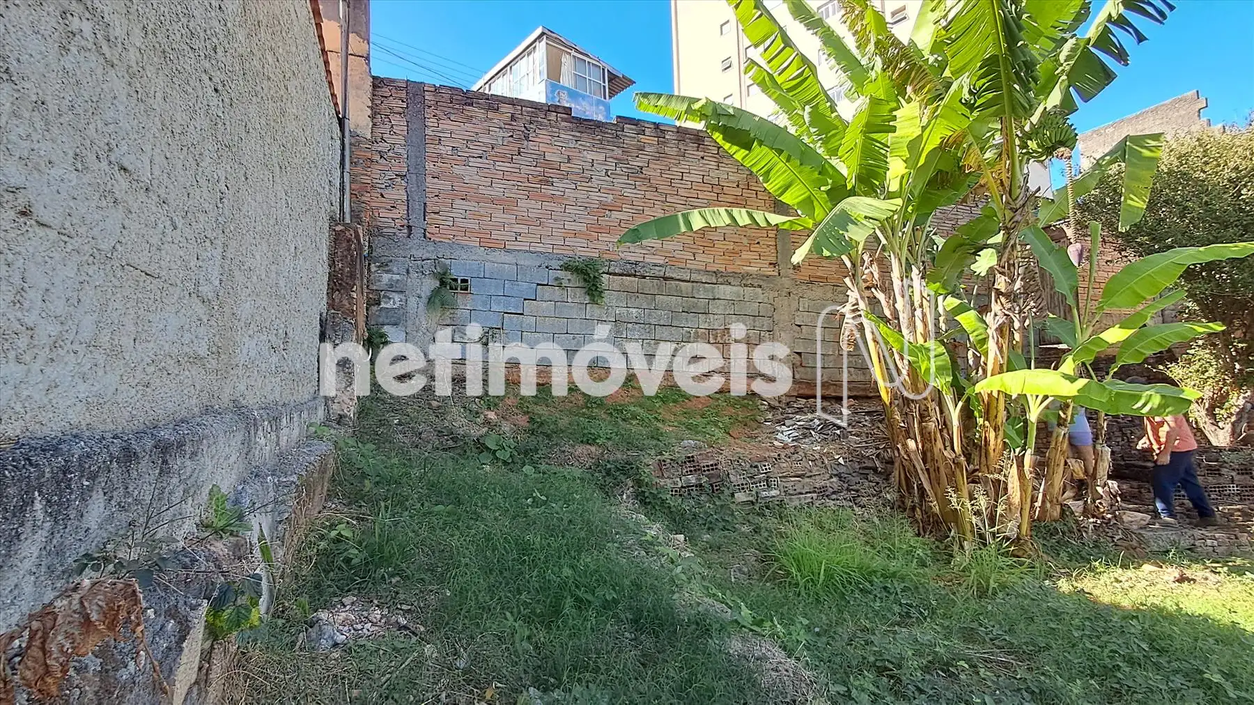 Lote