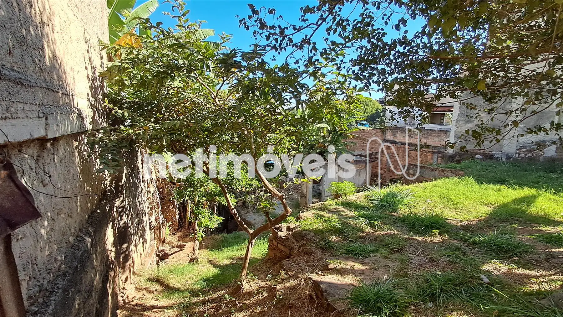 Lote