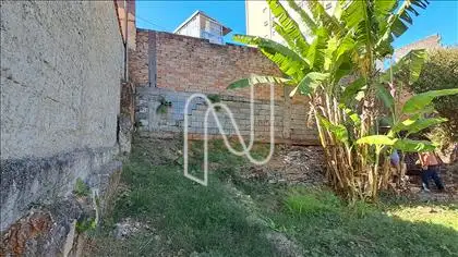 Lote