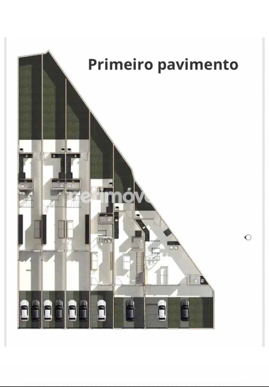Planta