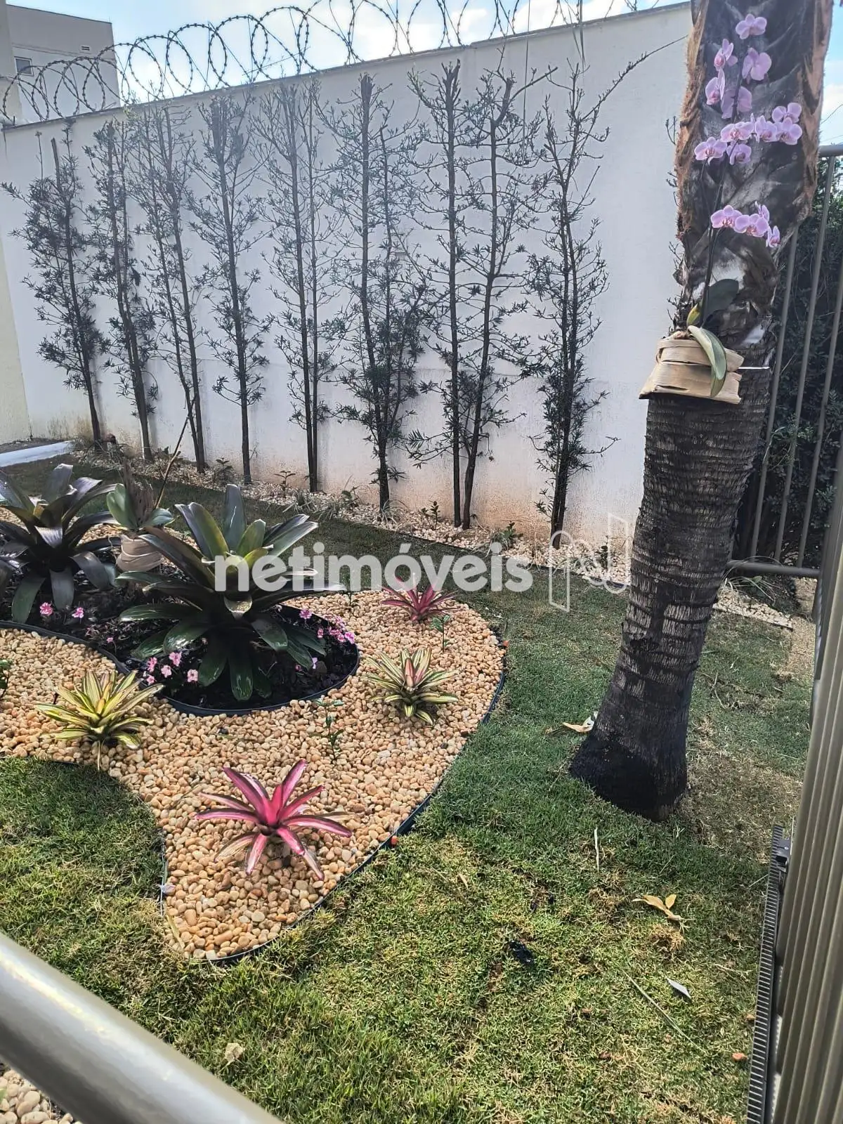 Jardim