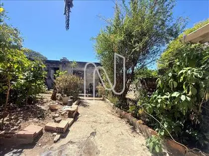 Jardim