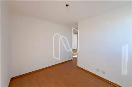 Suíte