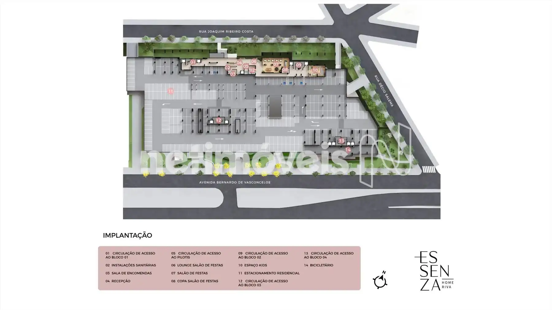 Planta 