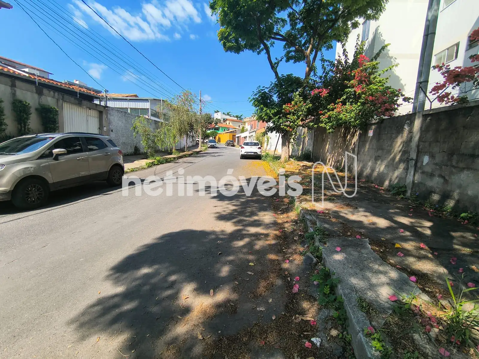 Rua
