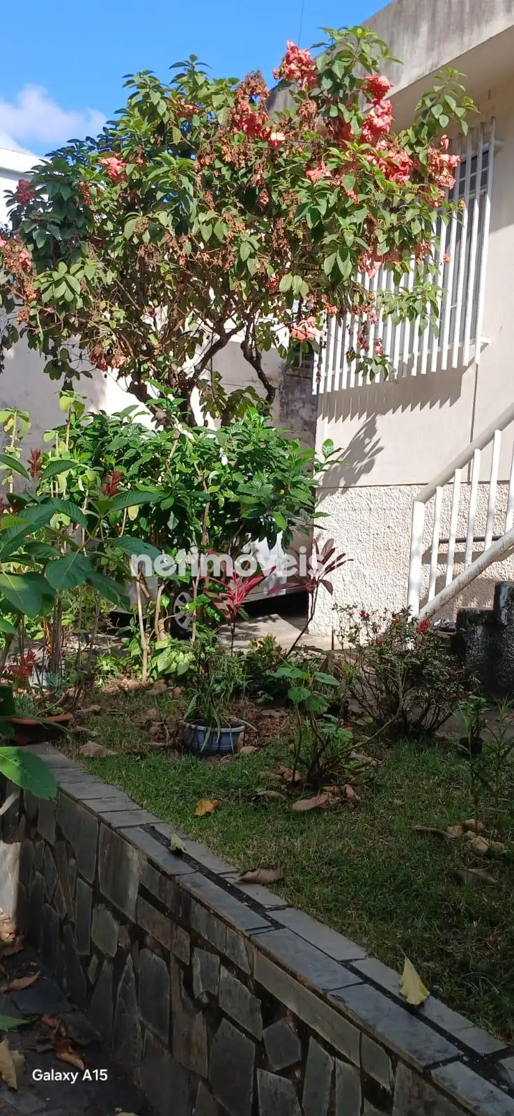 Jardim