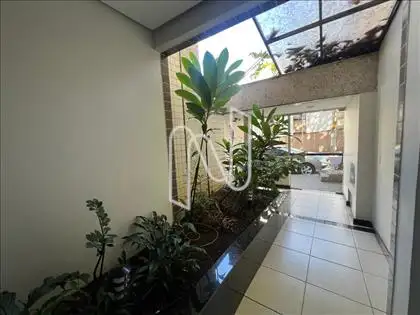 Jardim