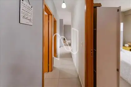 Circulação 