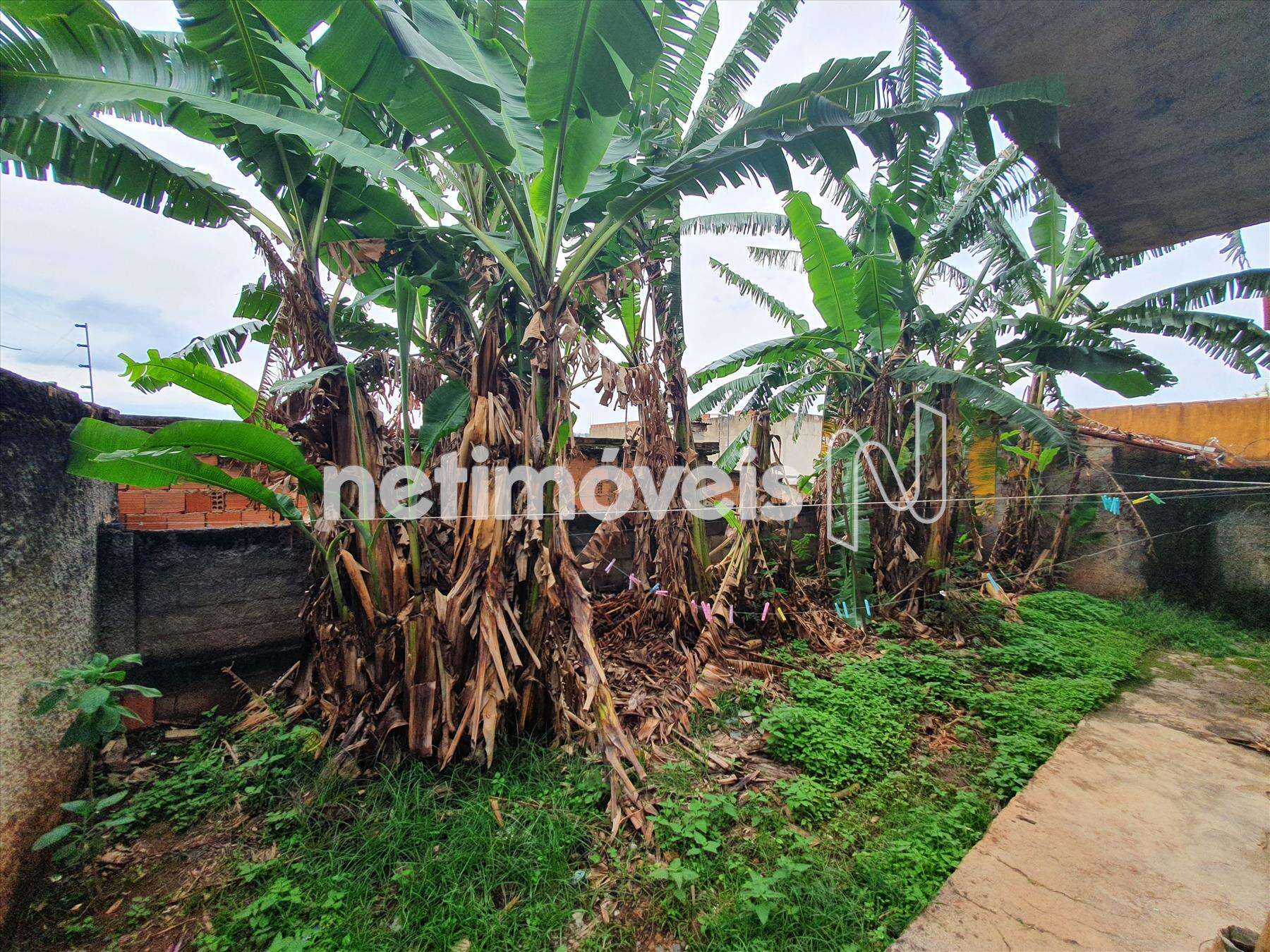 casa-quatro-quartos-floramar