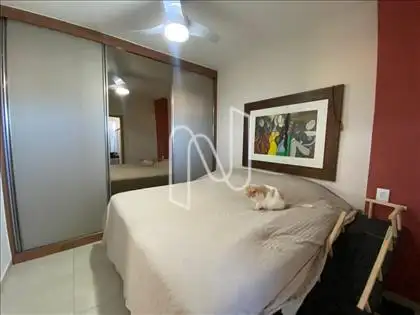 Suíte