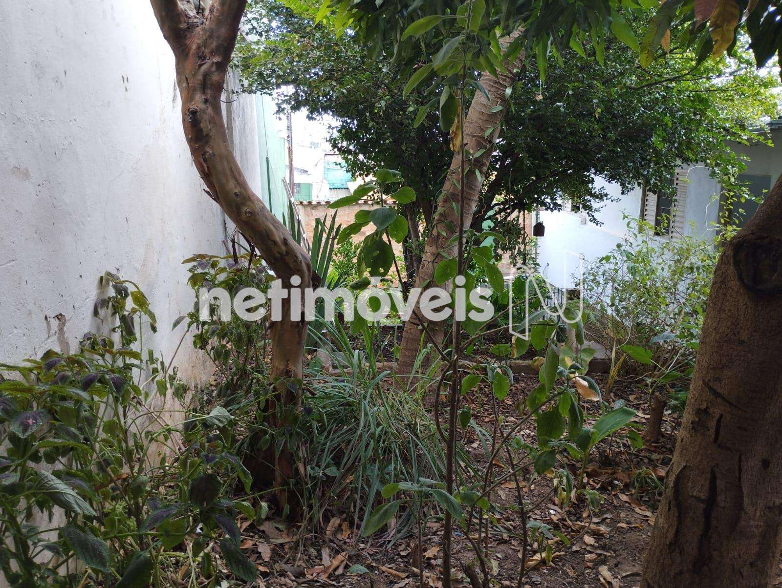 Lote- Casa- Terreno- Área- Santo André