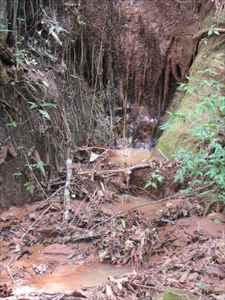 Sítio-Lote-Terreno-Área- ItambédoMatoDentro 