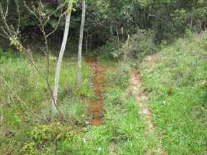 Sítio-Lote-Terreno-Área- ItambédoMatoDentro 