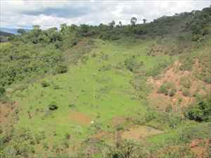  Sítio-Lote-Terreno-Área- ItambédoMatoDentro