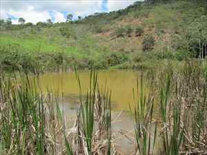 Sítio-Lote-Terreno-Área- ItambédoMatoDentro 