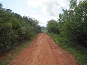 Sítio-Lote-Terreno-Área- ItambédoMatoDentro 