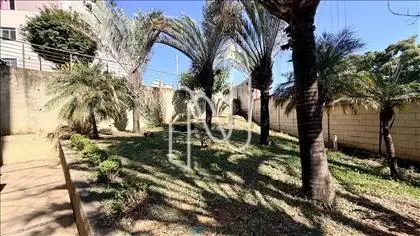 Jardim