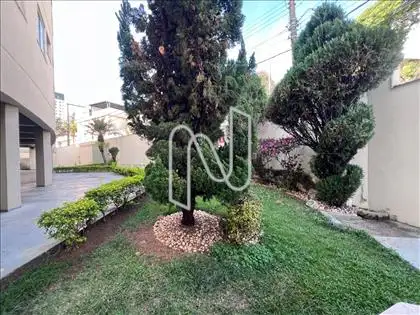 Jardim