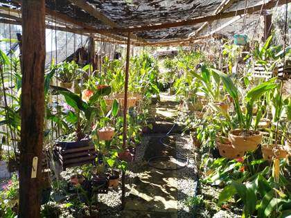 Sítio-Chacara-Terreno-Casa4qts-SãoJosédaLapa 