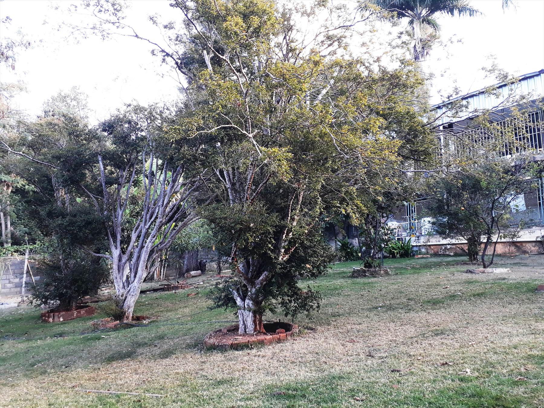 Casa com vista para lagoa da Pampulha