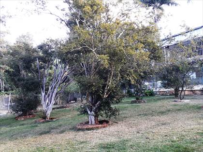 Casa com vista para lagoa da Pampulha