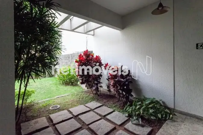 Foto 17