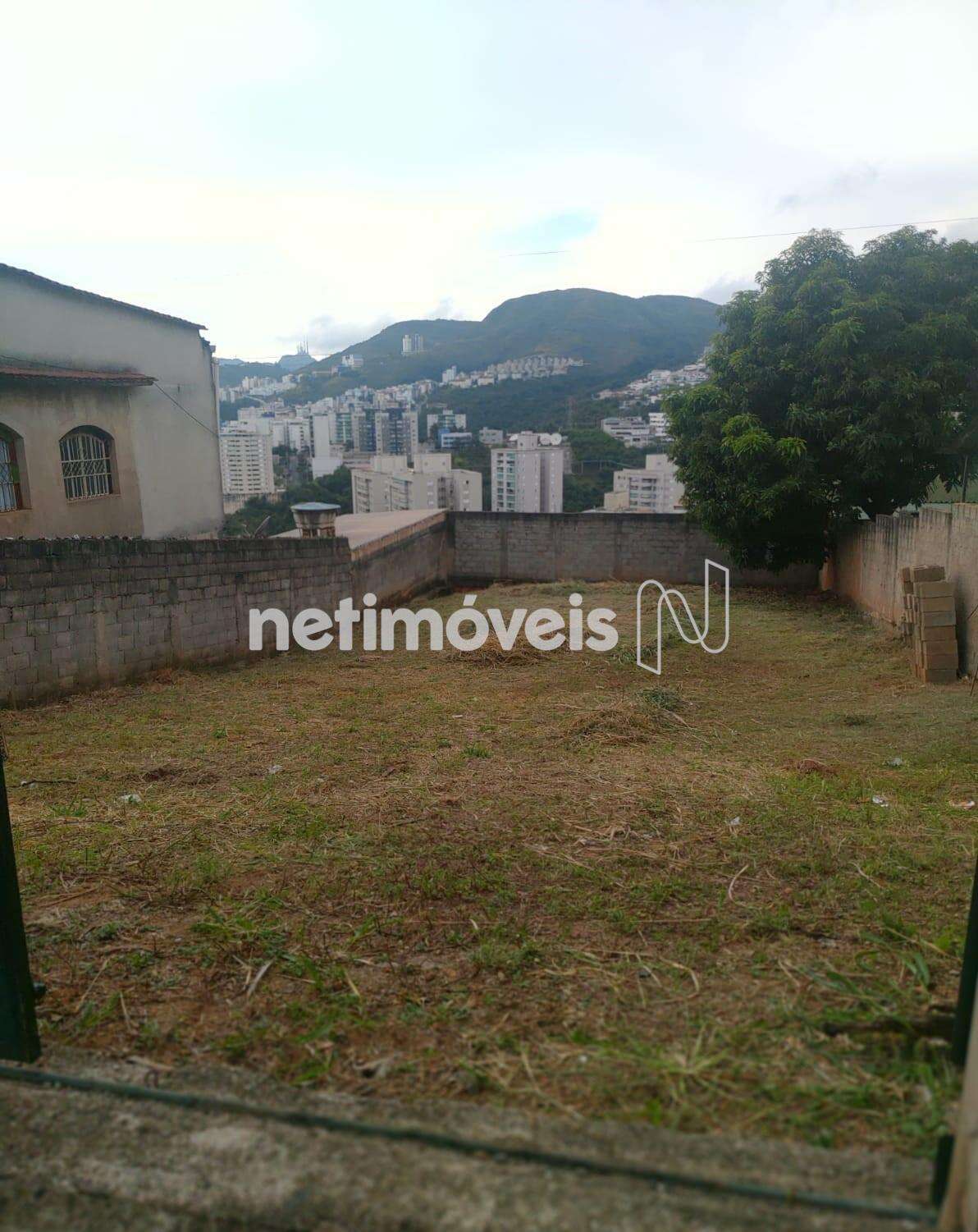  Lote-área-terreno-Palmeiras