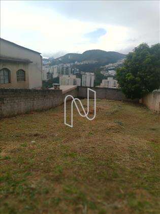  Lote-área-terreno-Palmeiras 