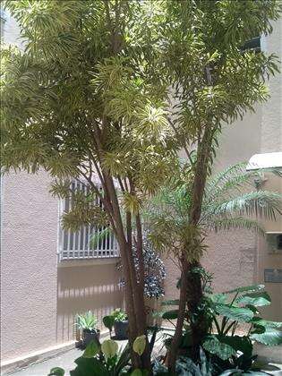 Apartamento-2Qts-Garagem-OuroMinas