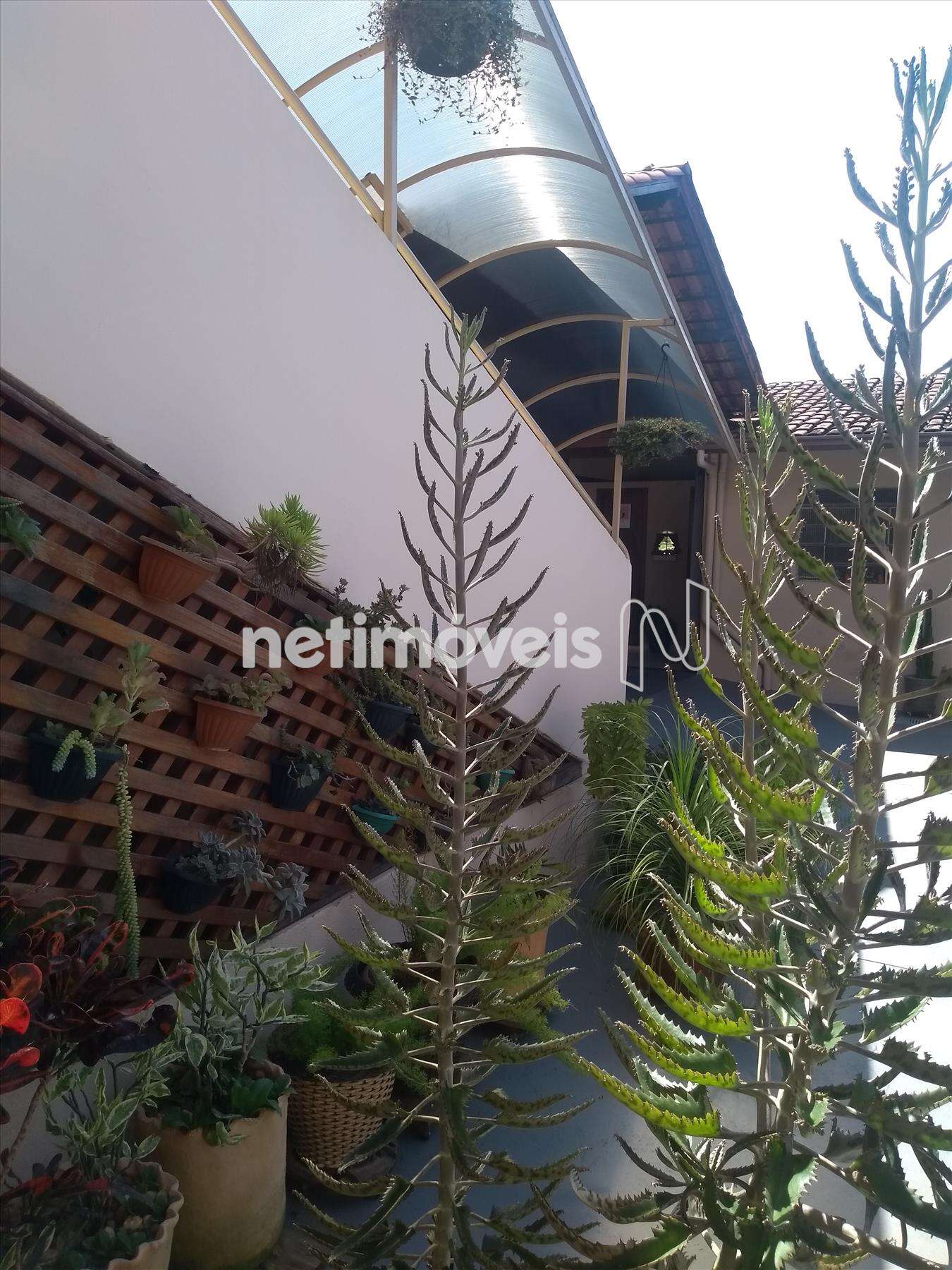  Casa-3Quartos-Suíte-Churrasqueira-Glória