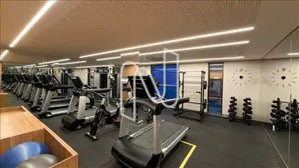 Academia