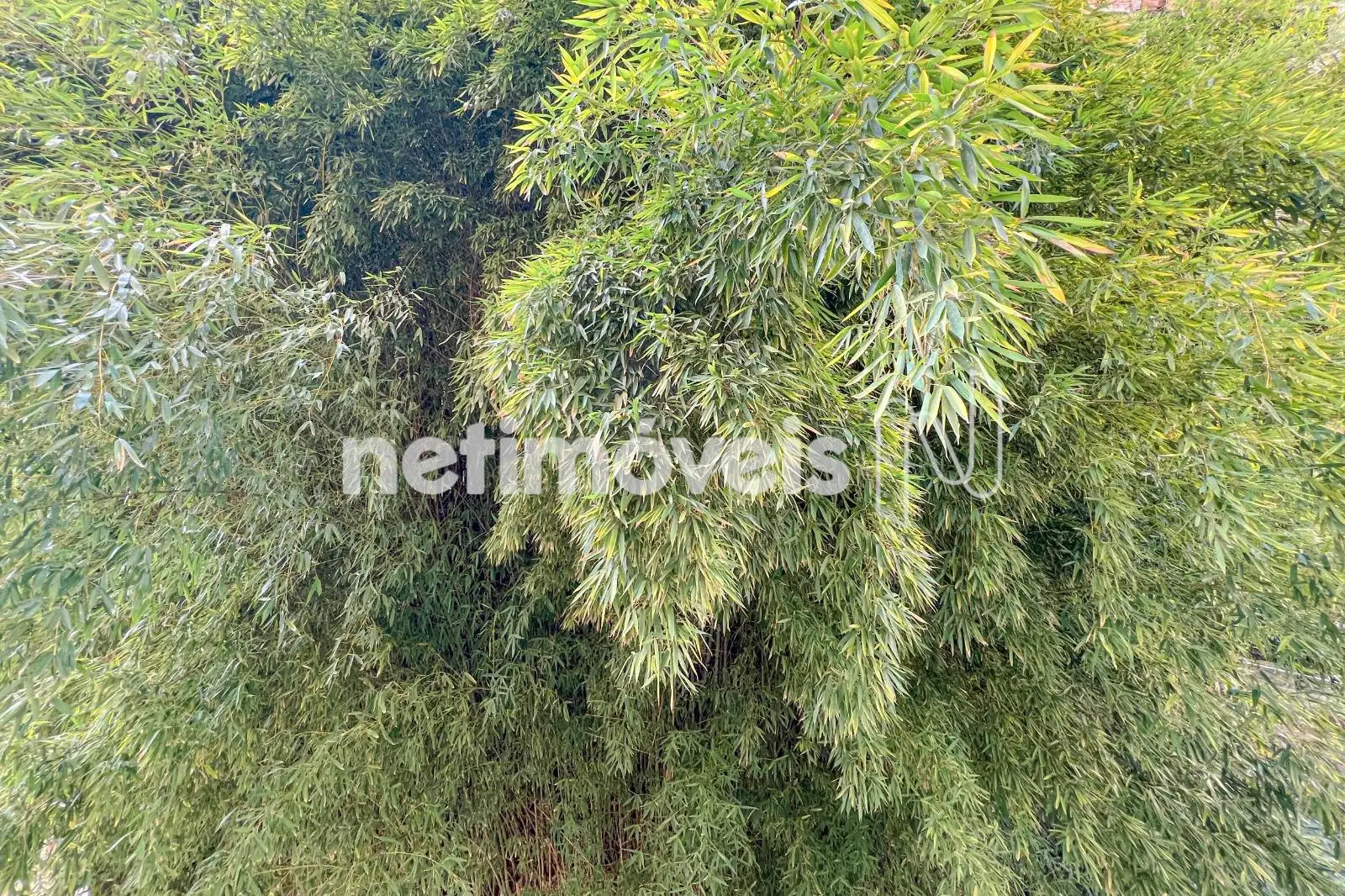 Área externa