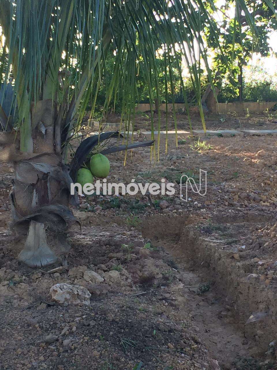 Sítio-Jaboticatubas-RecantodasArarasII