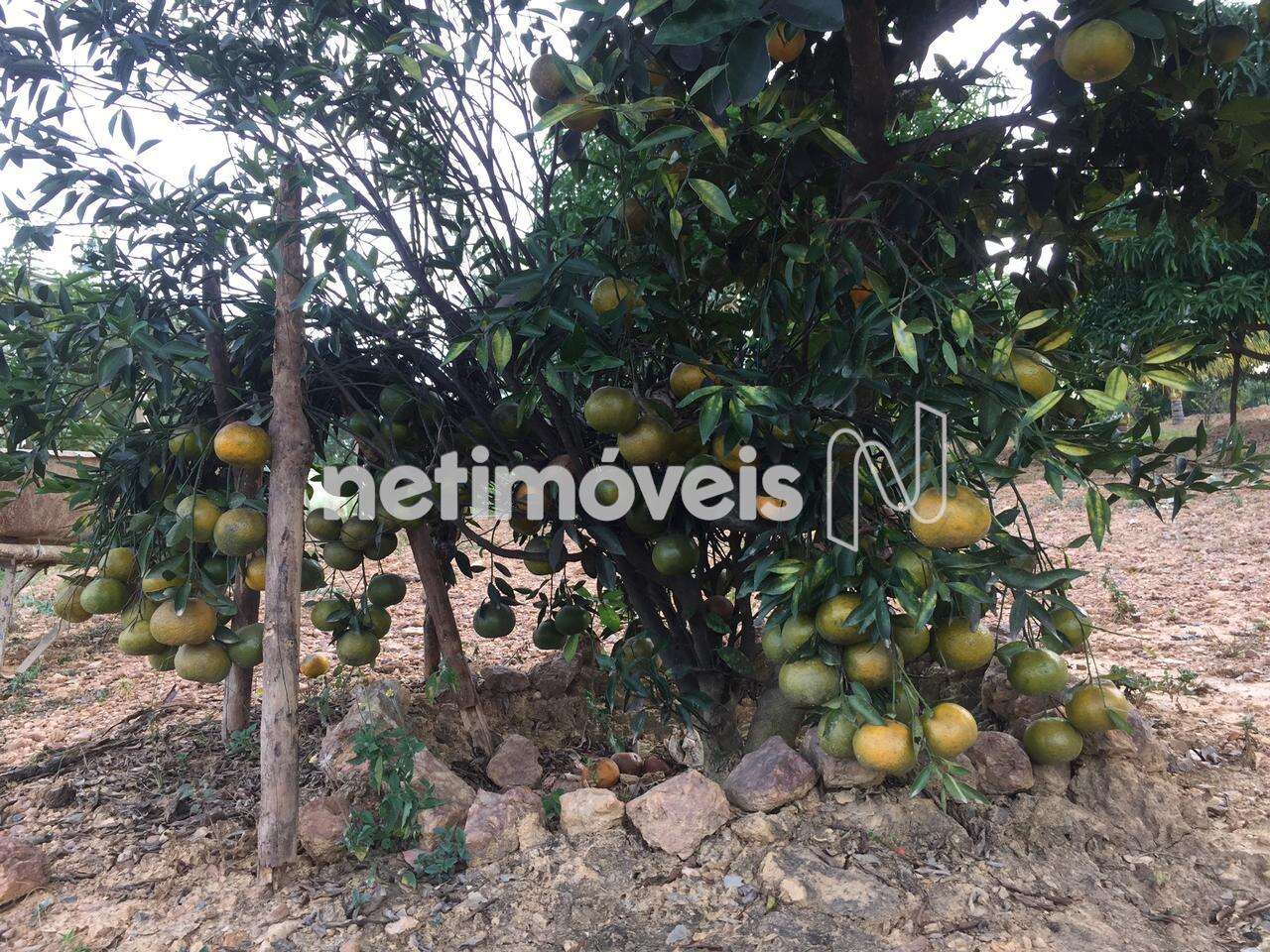 Sítio-Jaboticatubas-RecantodasArarasII