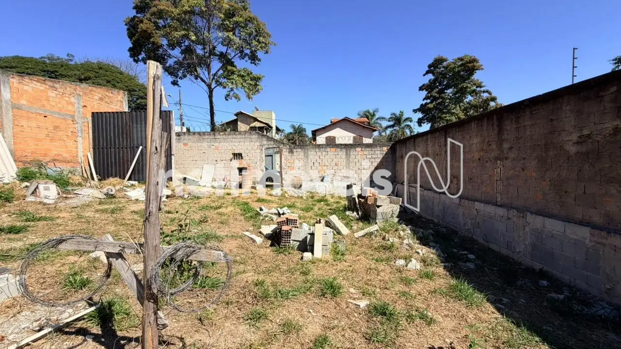 Lote