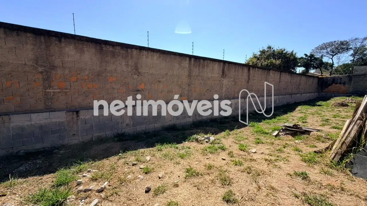 Lote