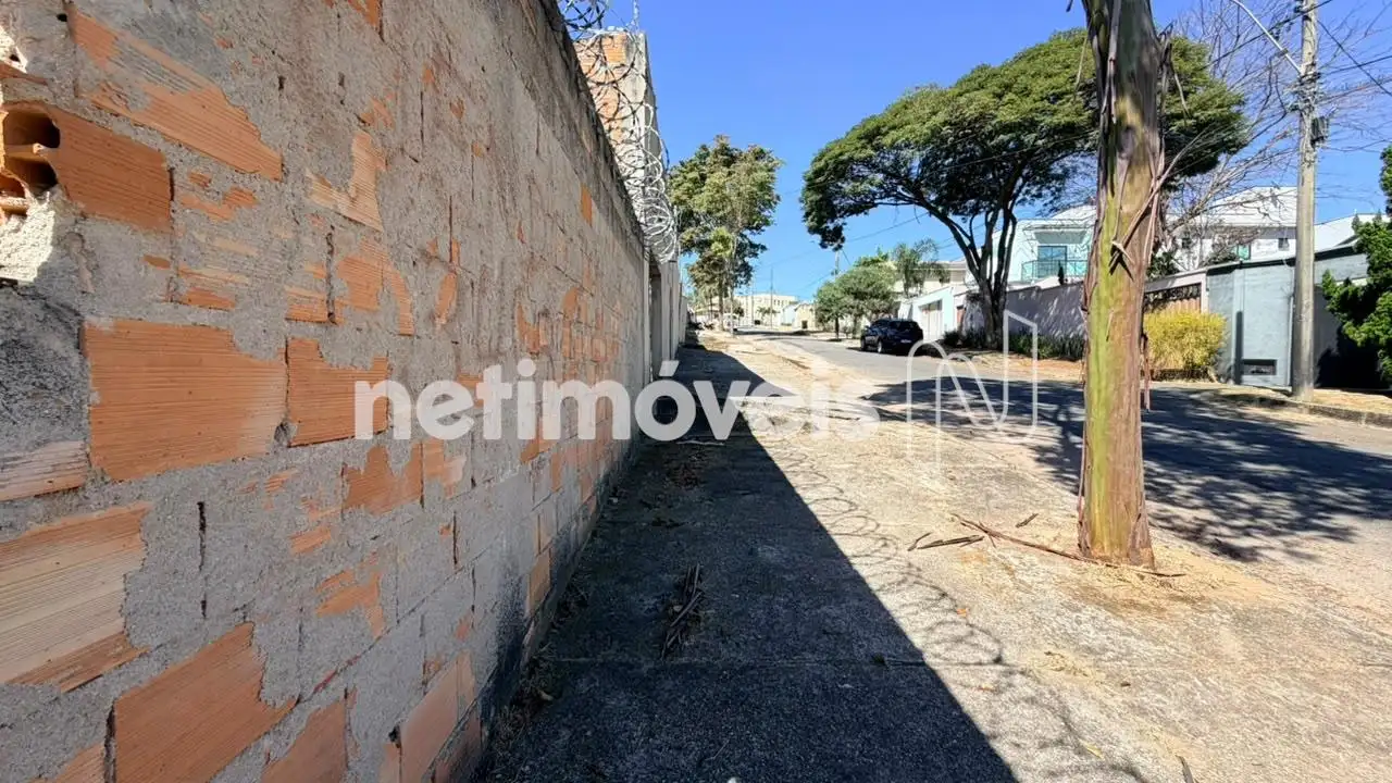 Lote